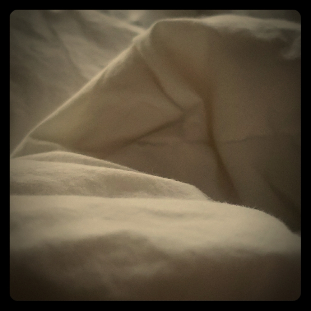 Meet your Posher, Lollie